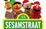 Klik hier om Sesamstraat van 13 augustus te bekijken.
