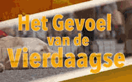 Klik hier om Het gevoel van de vierdaagse van 15 juli te bekijken.
